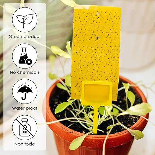 Miniatura 3 de Double Sided Sticky Traps Gnat Killer for Flying Plant Insect Indoor Outdoor Such as Fungus Gnats, Whiteflies, Aphids, 7.9 x 4 Inches (Yellow, 550