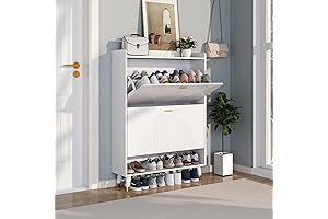 Slim and howcool Shoe Storage Cabinet: Keep Your Footwear Organized