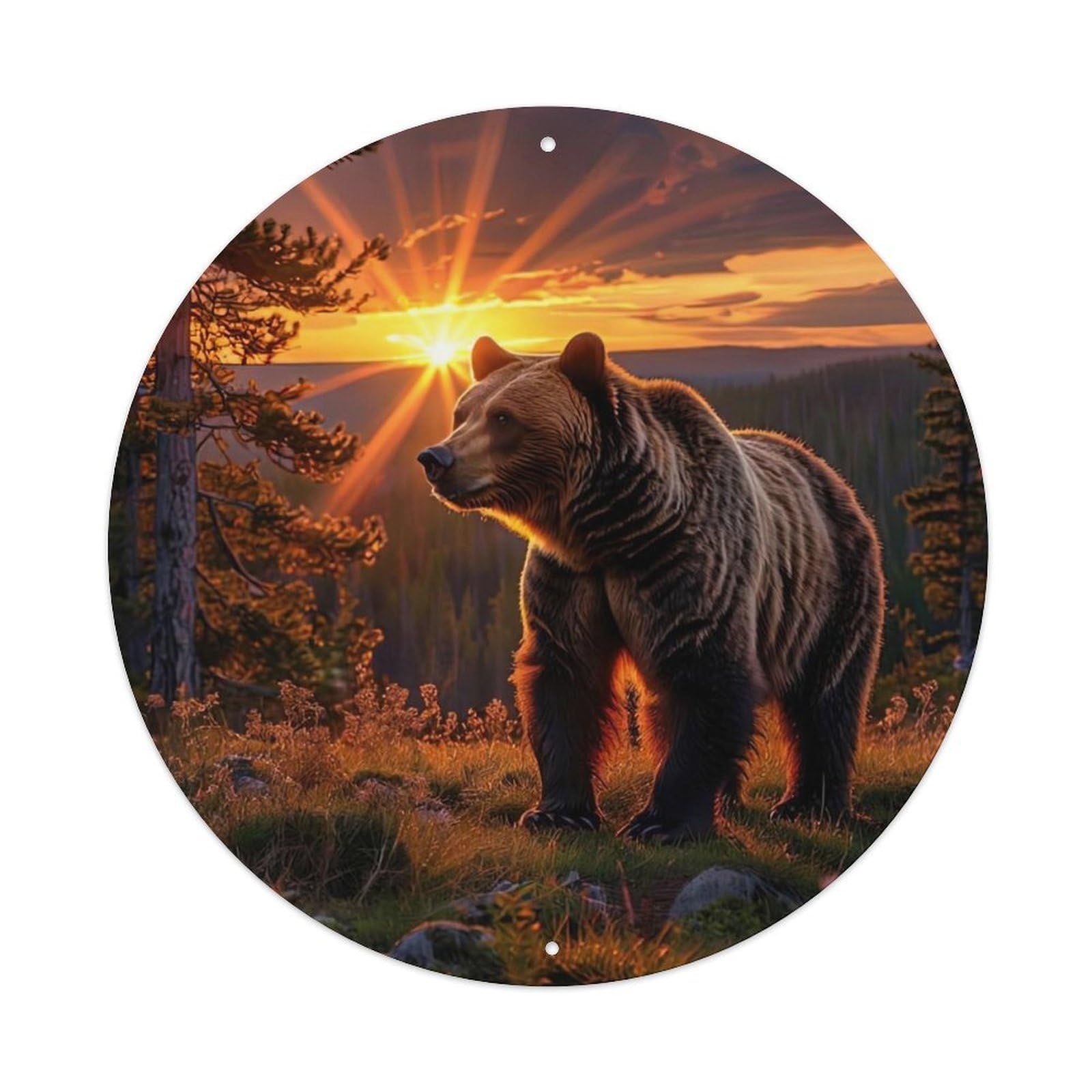 Animal Grizzly Bear Sunset Wilderness Landscape Vintage Metal Tin Sign Plaque Wall Decor for Cafe, Club Bar, Office, Garden Metal Poster 8x8Inch