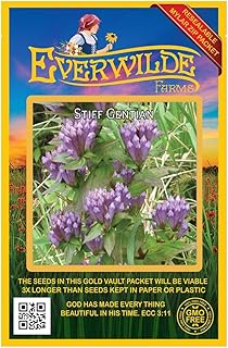 Everwilde Farms - 500 Stiff Gentian Native Wildflower Seeds - Gold Vault Seed Packet