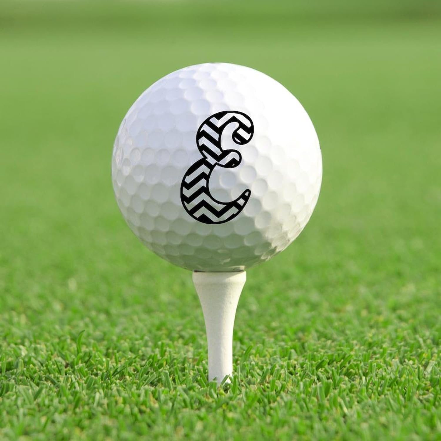 CafePress Letter E Chevron Monogram Novelty Golf Balls (Pk of 12)