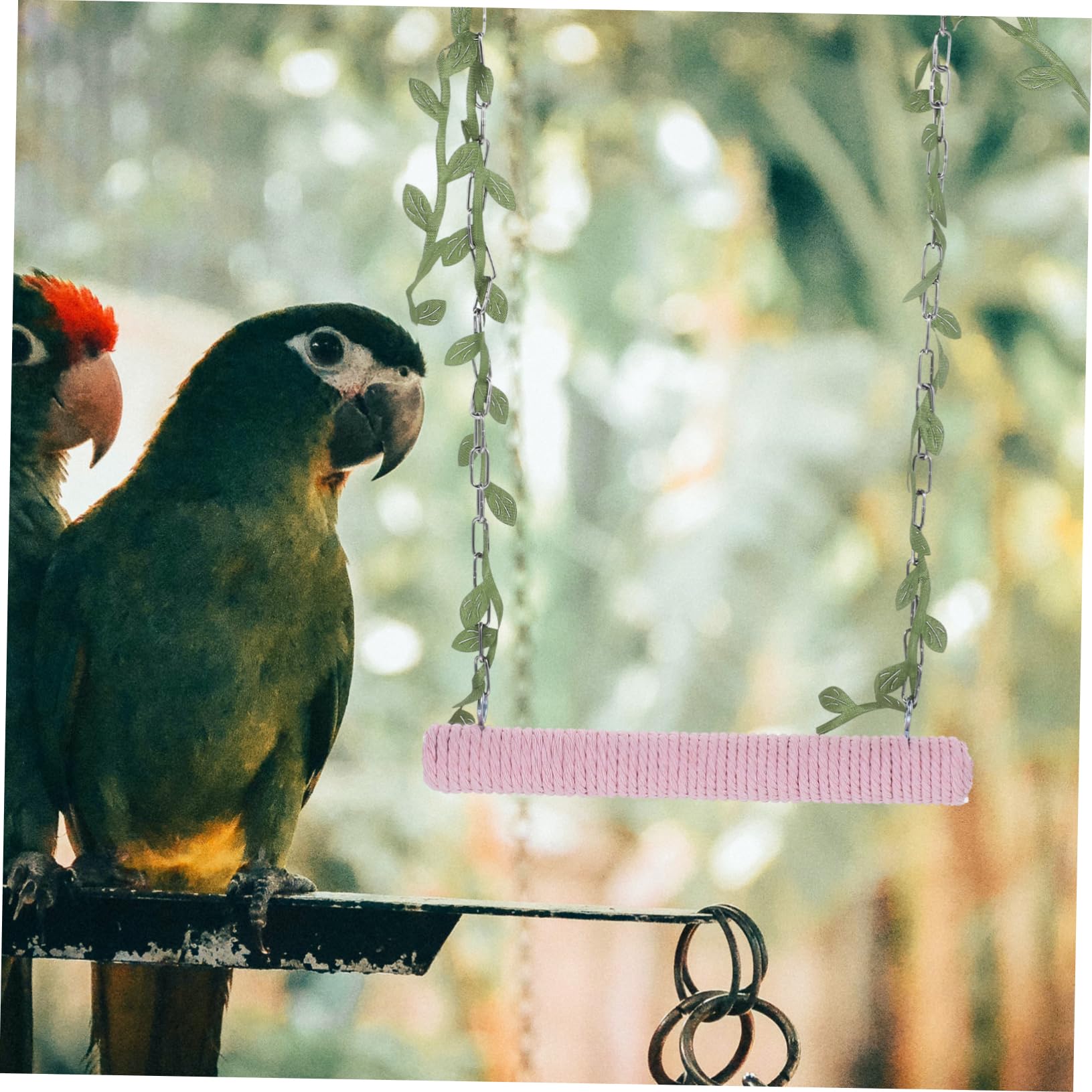 VANZACK 5pièces Balancoire Bois pour Oiseaux Perchoir Suspendu Bois pour Perruches Perroquets Et Cacatoès Jouet Activité Naturel pour Cage à Oiseaux