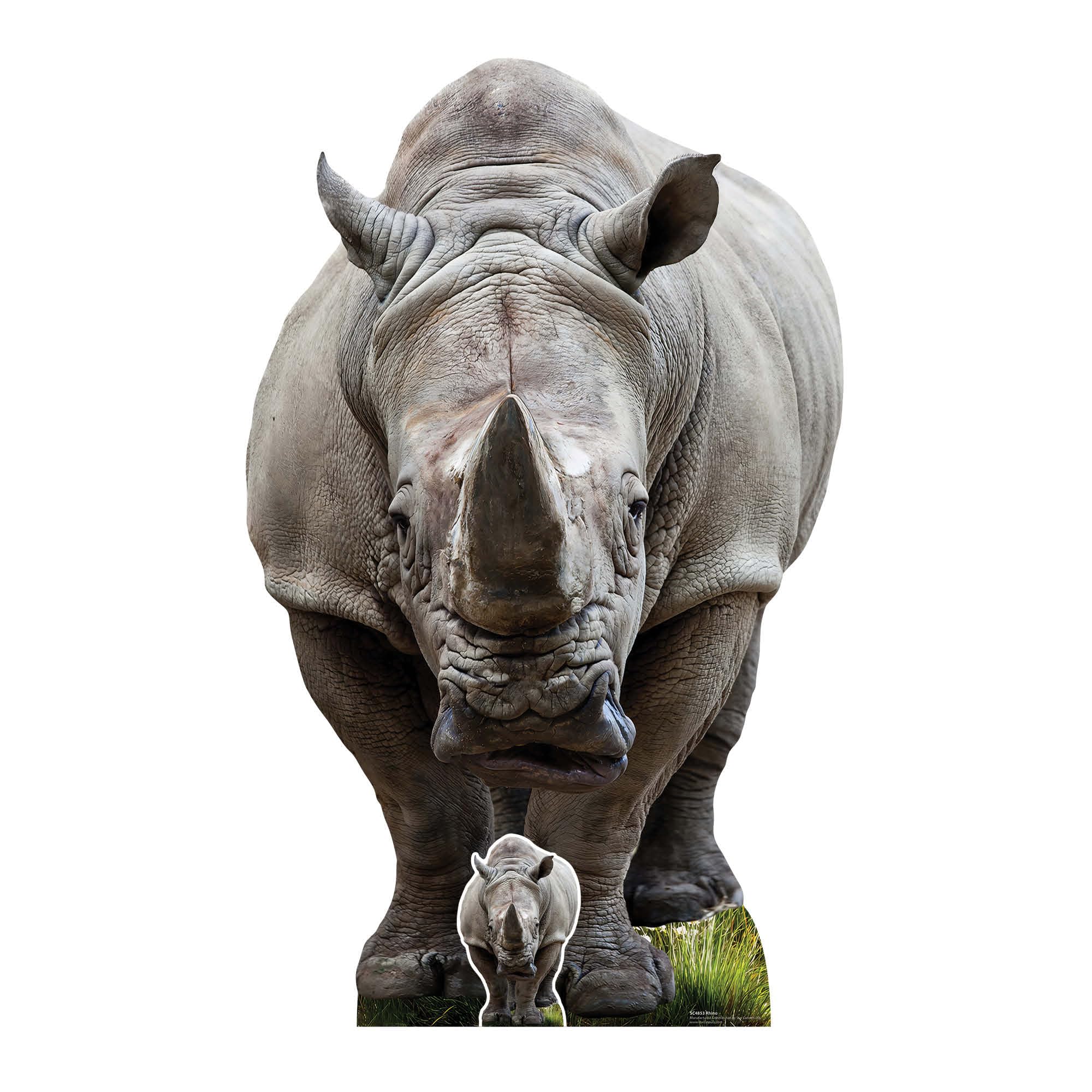 Star Cutouts SC4853 Young Rhino Cardboard Cutout Height 152cm