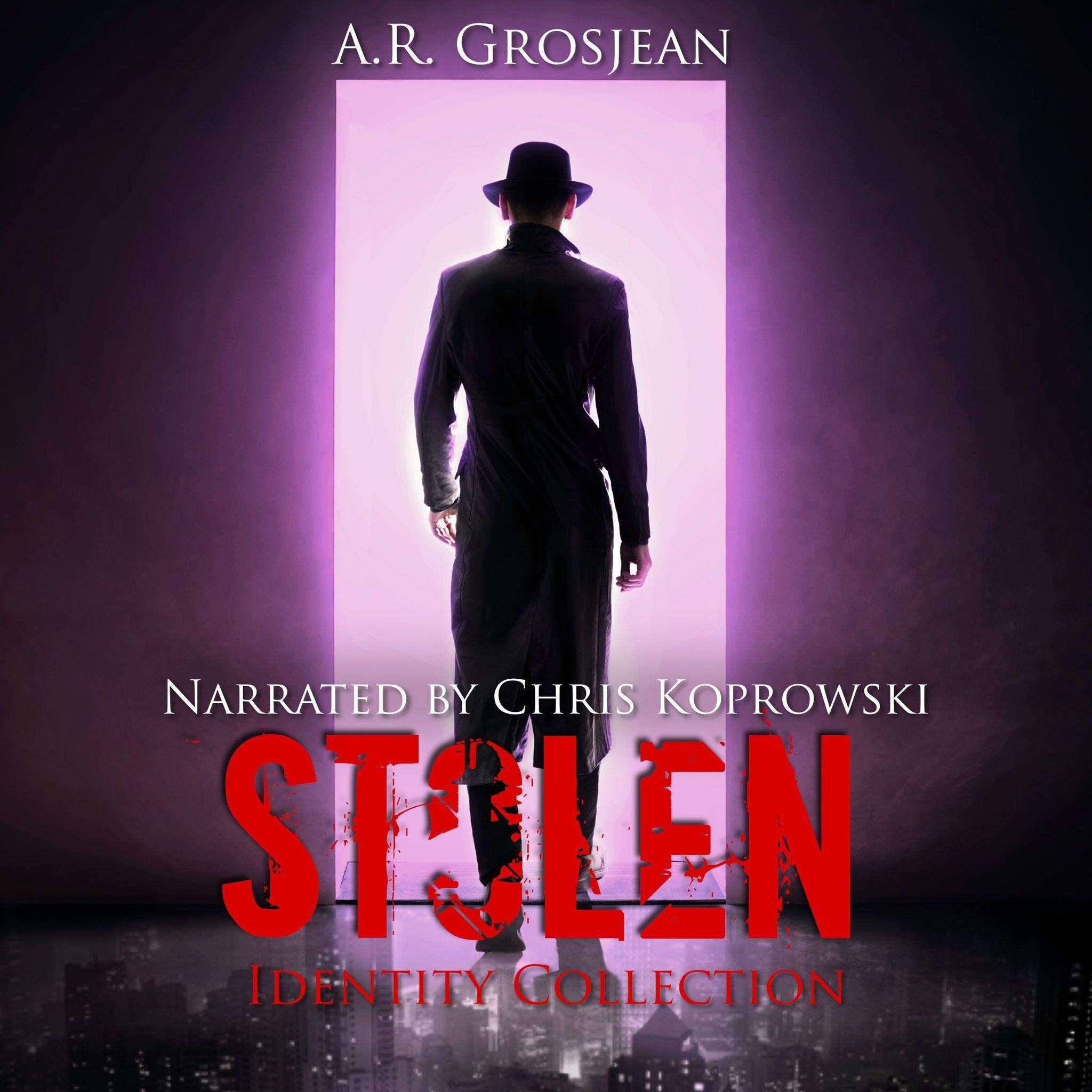 Cover art for Stolen: Identity Collection, Book 1