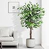 Product Photo 4