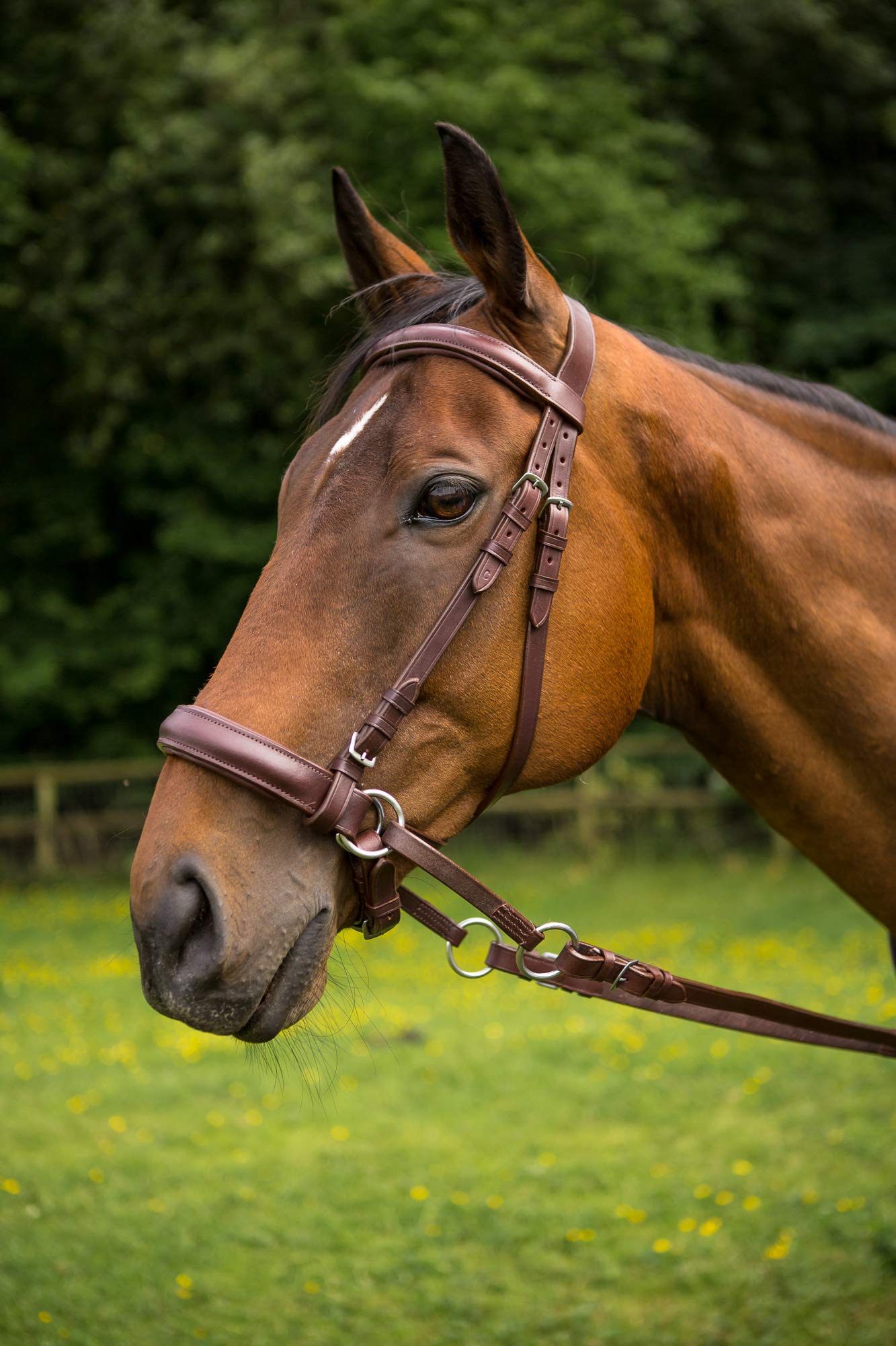 Imperial Riding Bridon sans Mors Free Ride Rope avec Rênes Marin