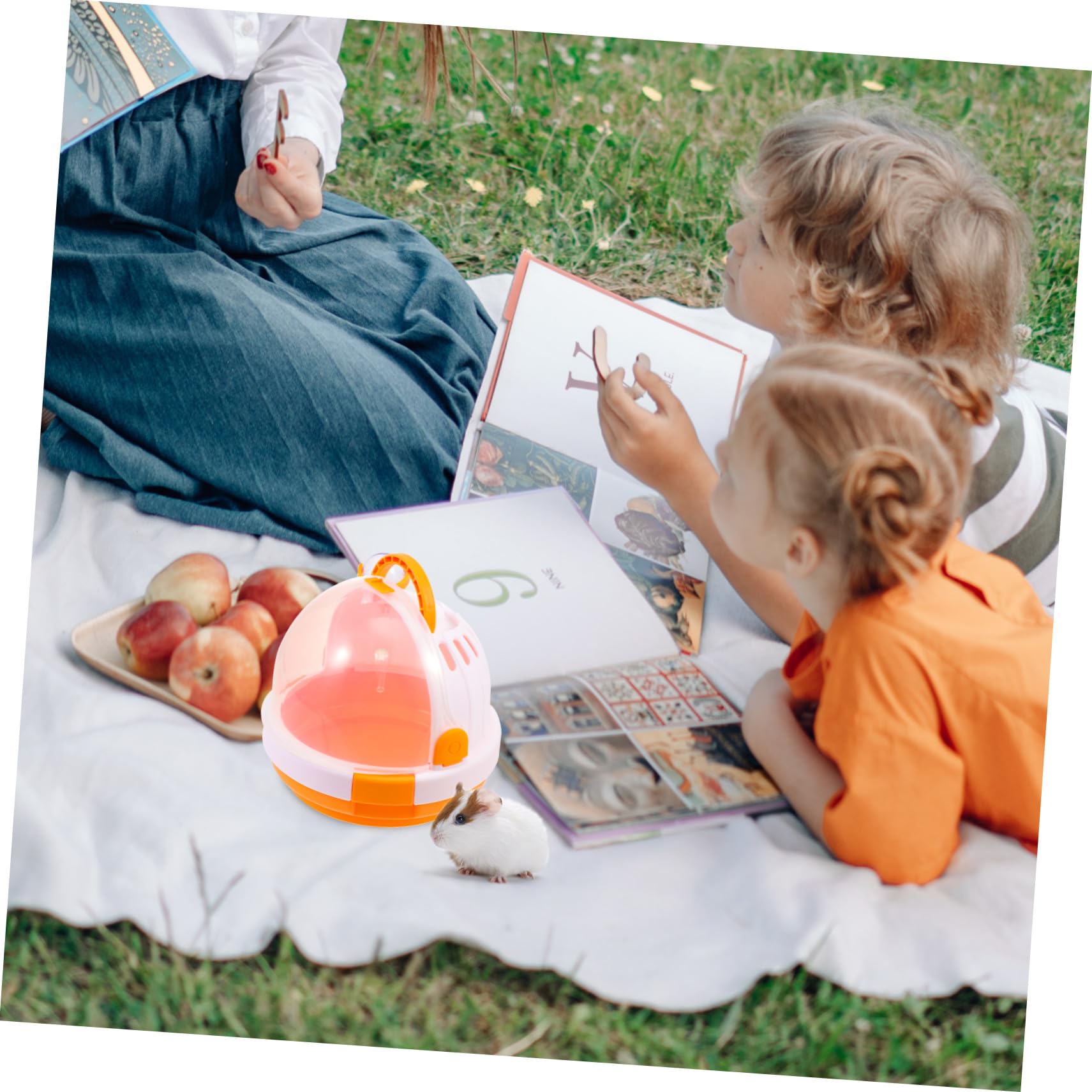 Reisehamsterkäfig Aus Bequemen Materialien Für Kleine Haustiere Mit Belüftungsöffnungen Für Optimalen Luftstrom Und Beim Transport Hamster-reisekäfig Leicht Und Tragbar Für Outdoor