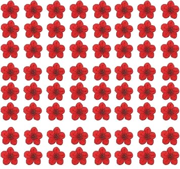 Red Natural Dried Pressed Flowers for Resin Crafts, 60PCS Real Pressed Dried Blossom Flowers, Dry Flowers for Resin Jewelry Soap Scrapbooking DIY Candle Decoration Nail Pendant Crafts Making