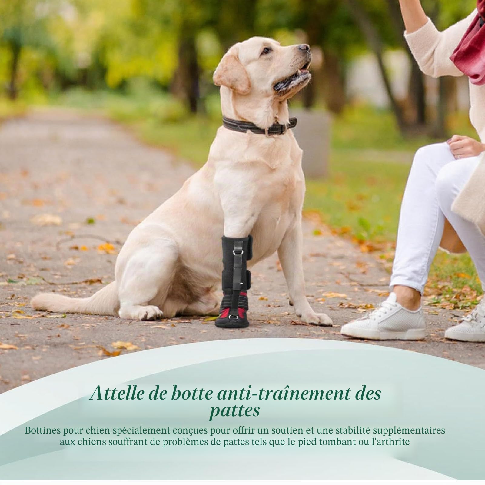 Focket Attelle pour Patte tombante avec Enrouleur,Chaussures correctrices antidérapantes pour Chien permettant de relever Les Orteils en Toute sécurité en Cas de problèmes de Pattes (S)