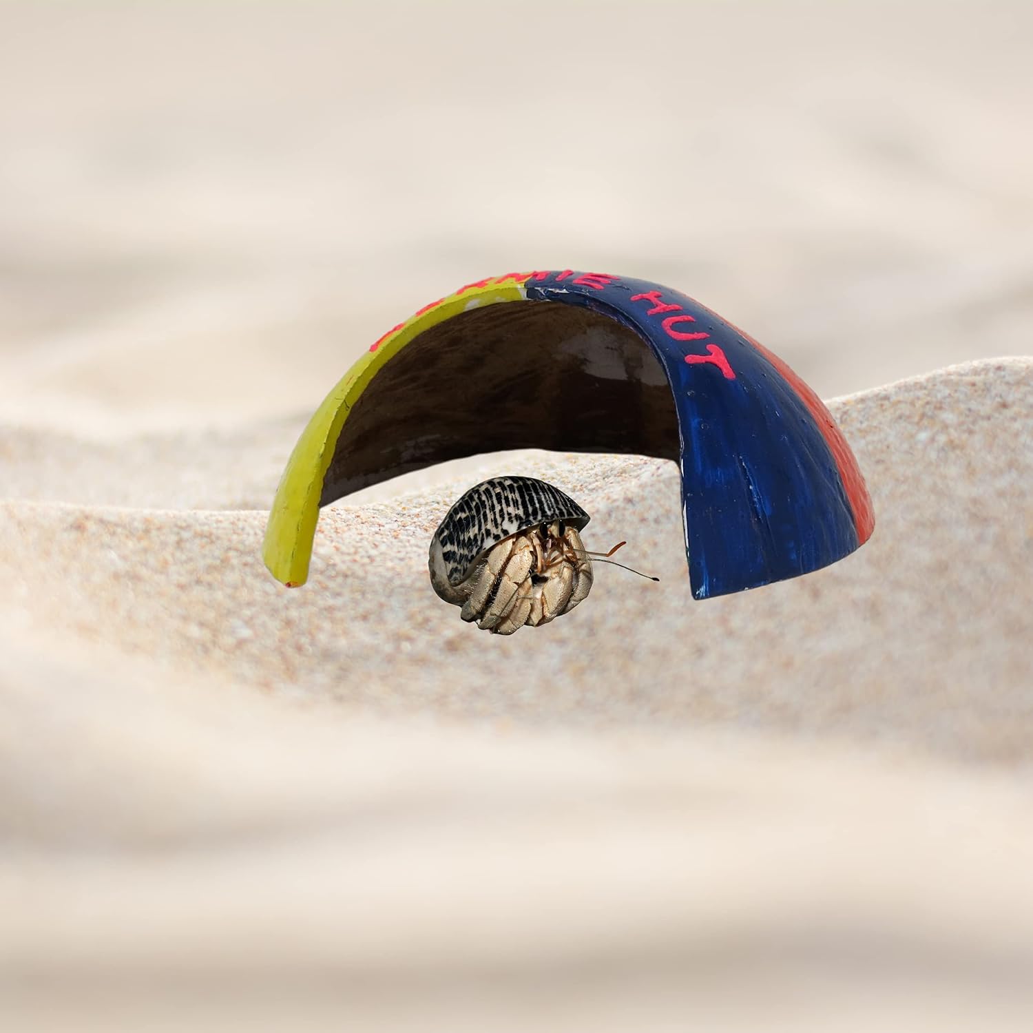 Needzo Beach Umbrella Hermit Crab Hut Hideout Habitat Decoration for Pets, Amphibians, Decorative Cage Accessory, 2.5 Inches image 5
