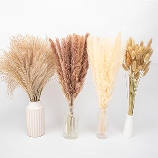 N&T NETING 120Pcs Dried Pampas Grass Decor-10Pcs Beige Pampas Grass, 10Pcs Brown Pampas Grass, 50Pcs Bunny Tails, 50Pcs Re...
