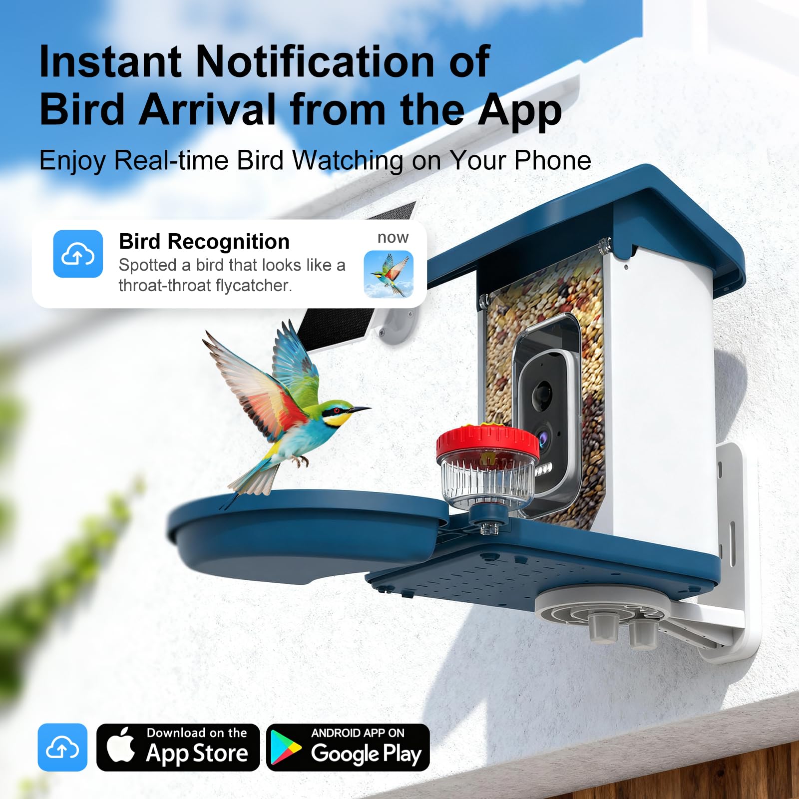 Smart Bird Feeder mit Kamera Solarbetrieben, 4K HD Video Vogelhaus, AI Vogelarten Identifikation, Live Stream & Nachtsicht, Auto-Capture & Notify, Wetterfestes Design, Ideale Geschenke für Liebhaber