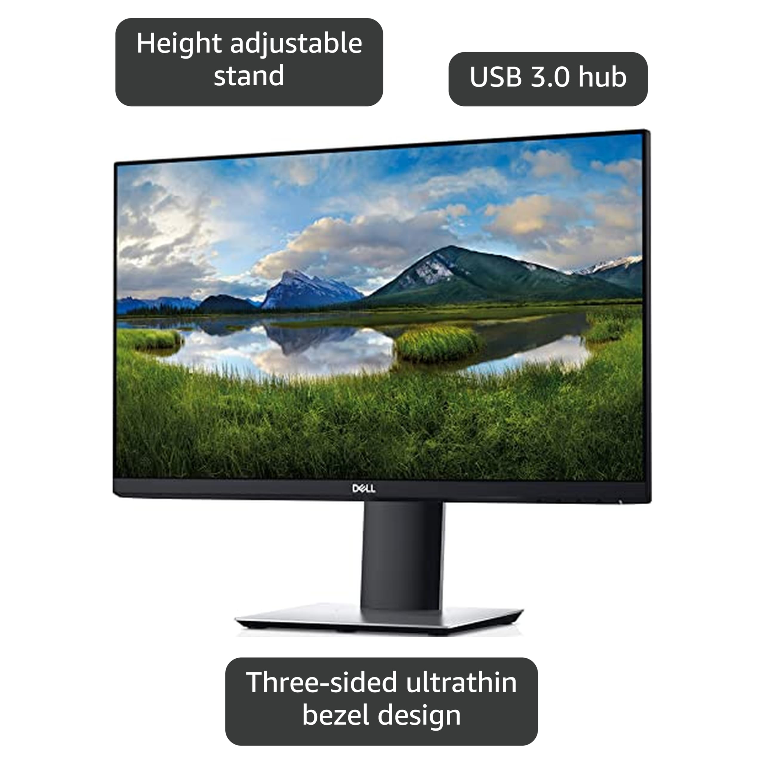 Amazon.com: DELL 23in PROFESSIONAL P2319H 1920X1080 IPS LED-LIT