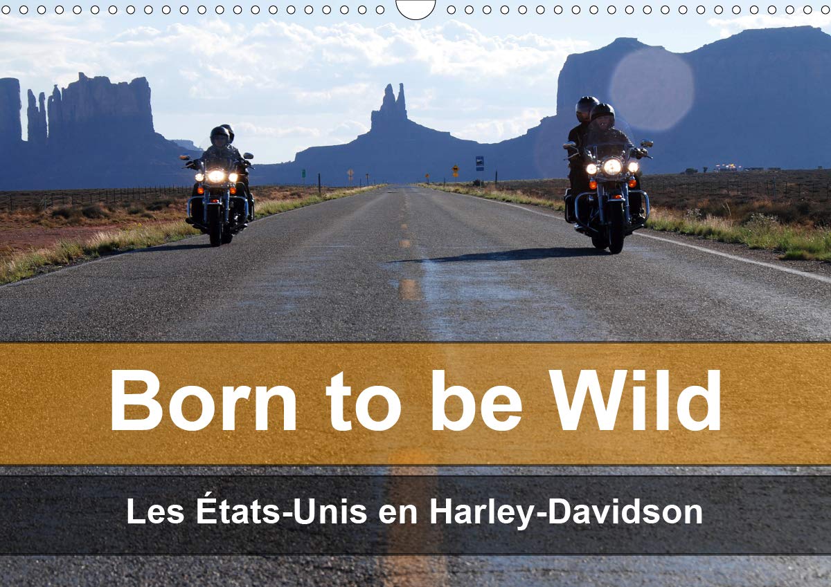 Born to be wild – Les États-Unis en Harley-Davidson 2020: Les magnifiques paysages du Sud-Ouest américain vus de la selle d'une Harley (Calvendo Mobilite)