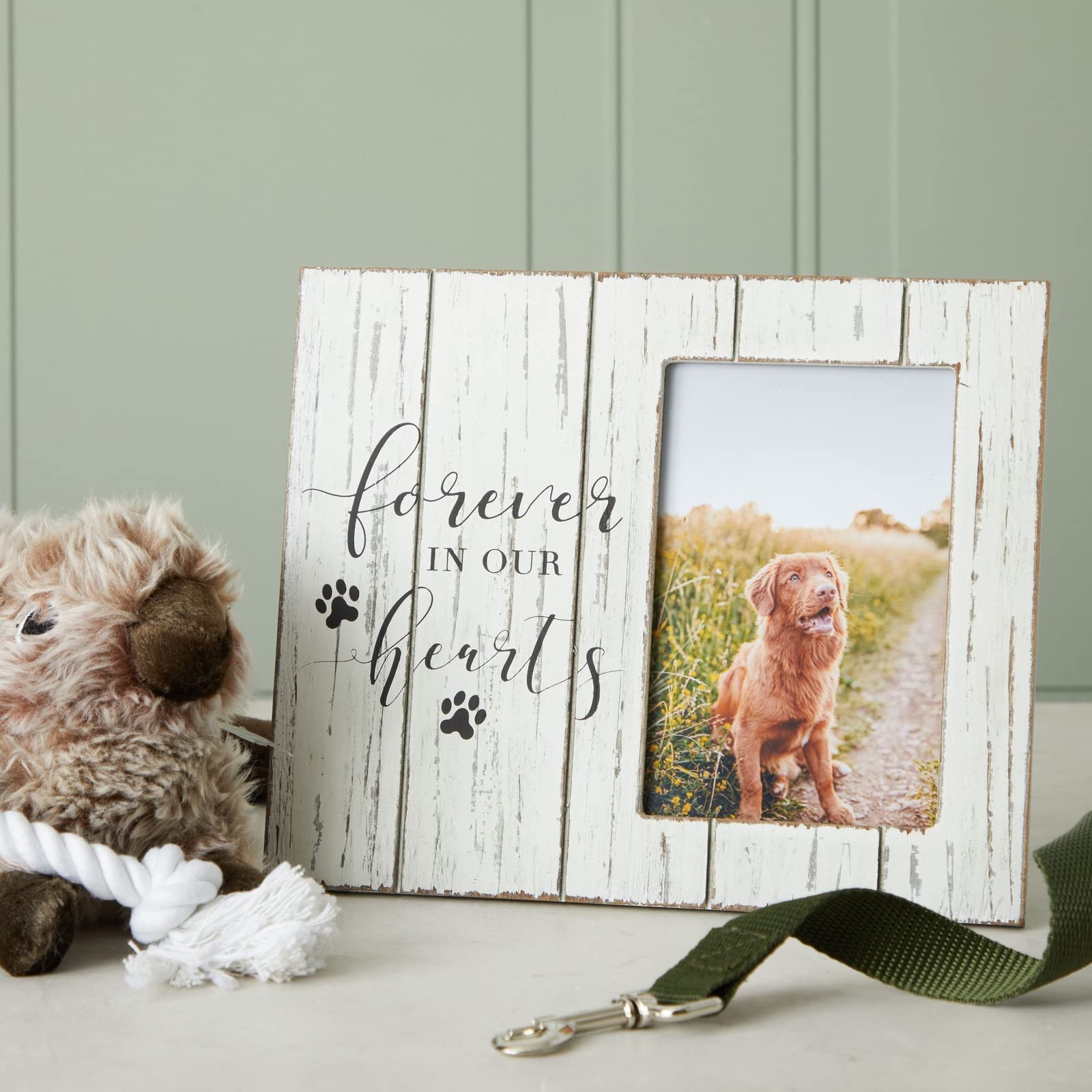 Amazon.com: Okuna Outpost Country Style Dog Frame - 9.5 x