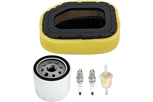 KOHLER SV725 Tune Up Kit