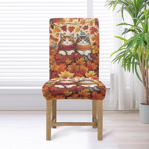 Miniatura 6 de Rnyleeg Fall Chair Covers for Living Room No Arms Maple Leaves Cat Stretch Dining Chair Covers Set of 4 Soft Washable Kitchen Chair Protector Cover