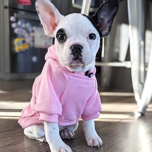 Miniatura 81 de Jecikelon - Sudadera con capucha y bolsillos, cálida para invierno, para perros pequeños, ropa de abrigo para chihuahuas, disfraz para cachorros