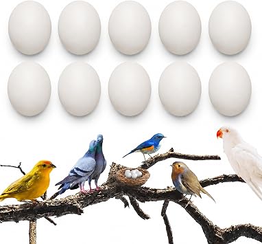 Solid Plastic Dummy Eggs for Guiding Racing Pigeons, Doves, Parrots to Hatch and Lay, 10 PCS
