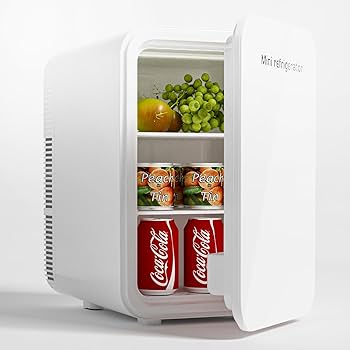 Amazon | HANLANG ミニ冷蔵庫冷10L 小型蔵庫 2℃～60℃ ミニ冷蔵庫