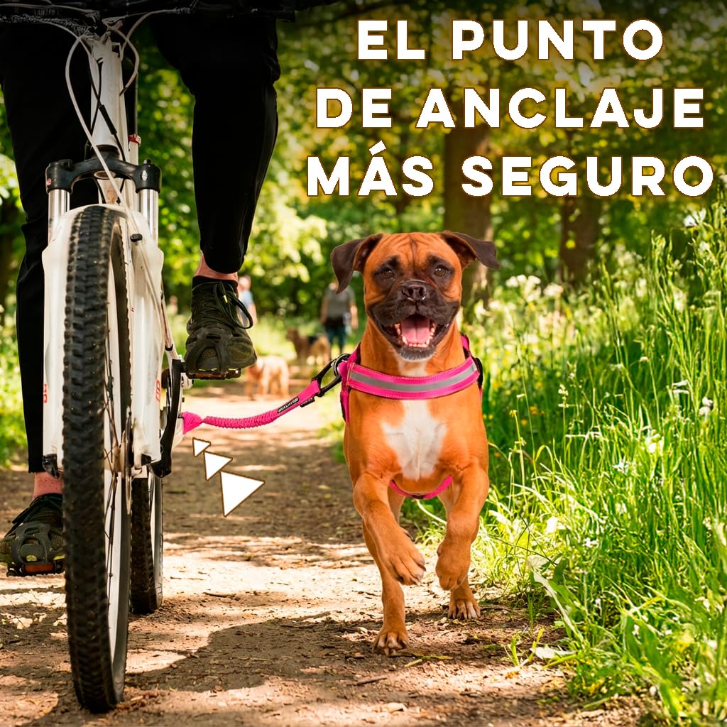 Correa y Arnés de Perro para Bicicleta, arnés con 3 Anillas, 2 Son Laterales, Incluye 2 Bridas Especiales para Bicicleta. Patentado. (XL, Rosa)