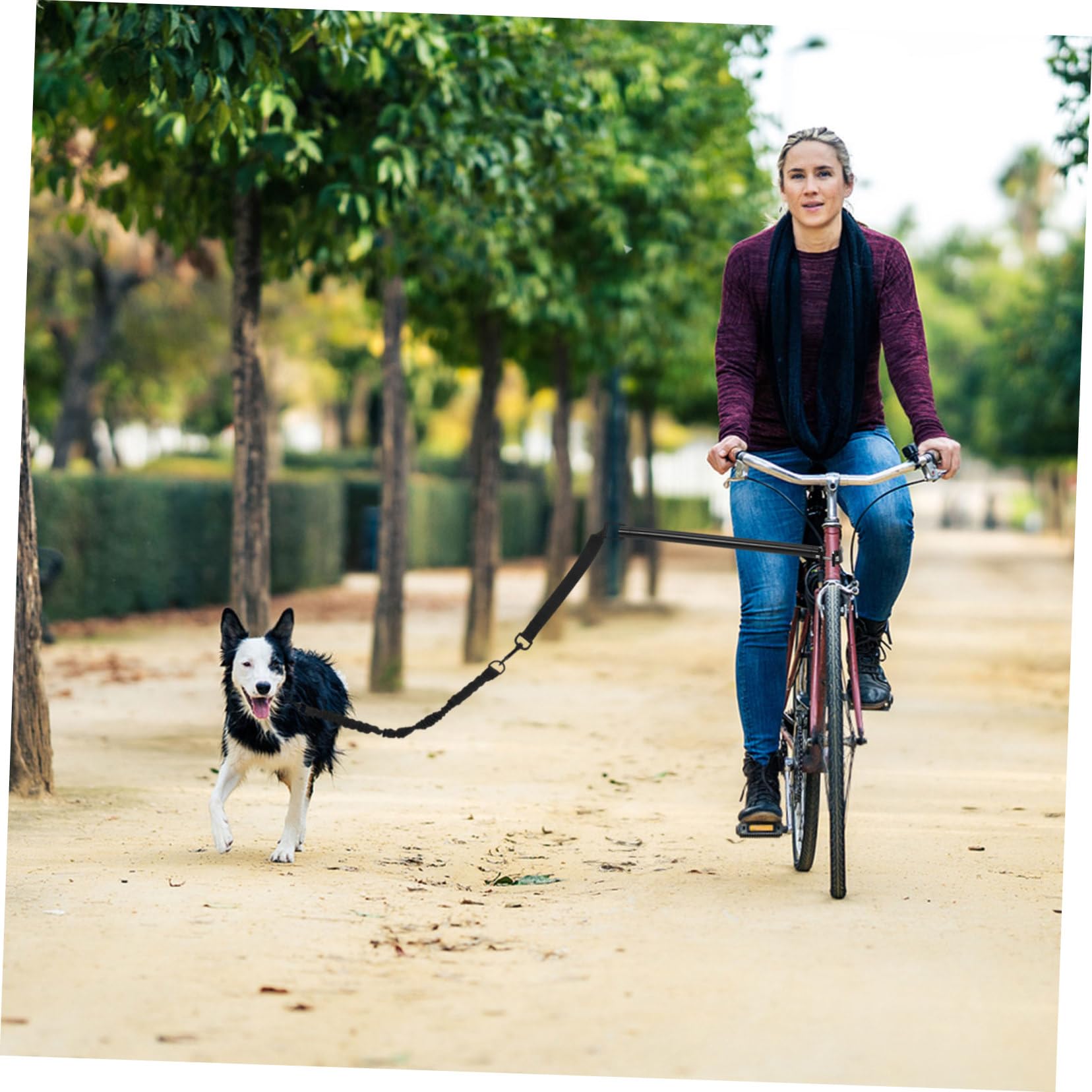 Gatuida Guinzaglio Oxford e Lega, Adatto per Cani Piccoli e Medi Cinturino Confortevole e Resistente per Bici per Cani Durante Passeggiate e Viaggi