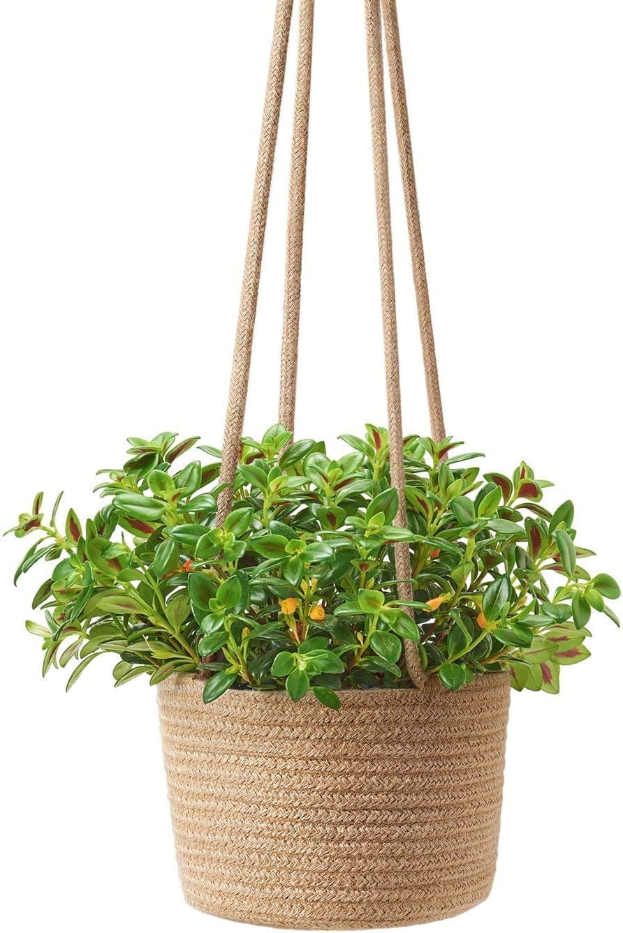 ZAVEZA- Eco Friendly Hanging Planters Cotton Rope Basket, Plant Holder with Large Handle Set of 1 (Size- 8 X 6 Inches) (B0C72W41HC) Amazon Price History, Amazon Price Tracker