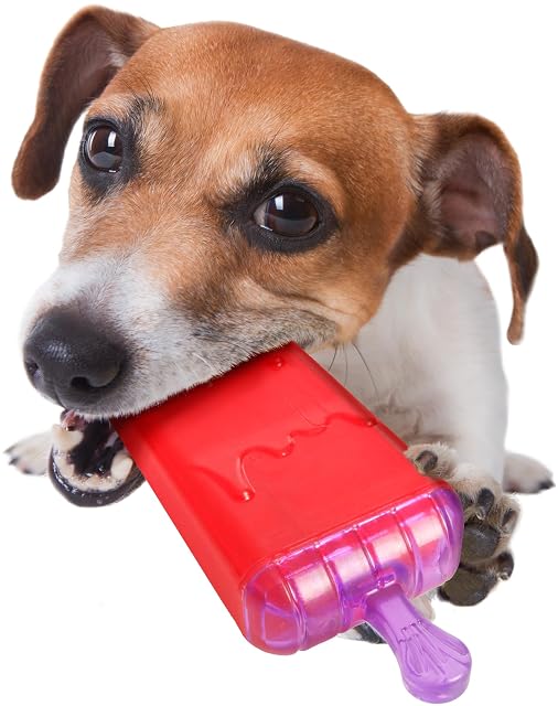 Foto 5 de 5 de Flamingo 515865 Juguete Perro Ice Lolly para Poder Congelar con Agua por Dentro