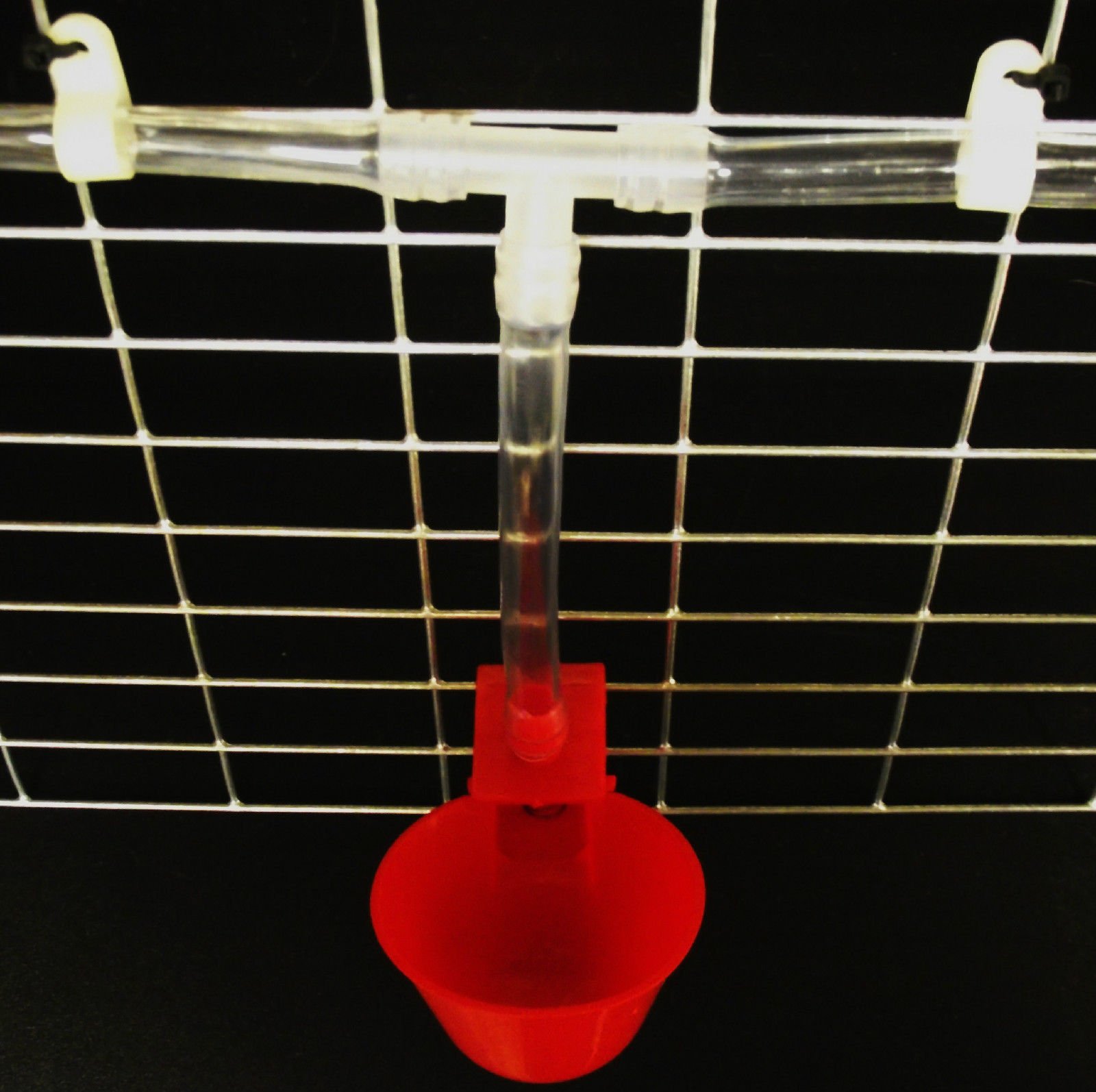 Rugged Ranch Products High End Hen Poultry Drinker with Yellow Float