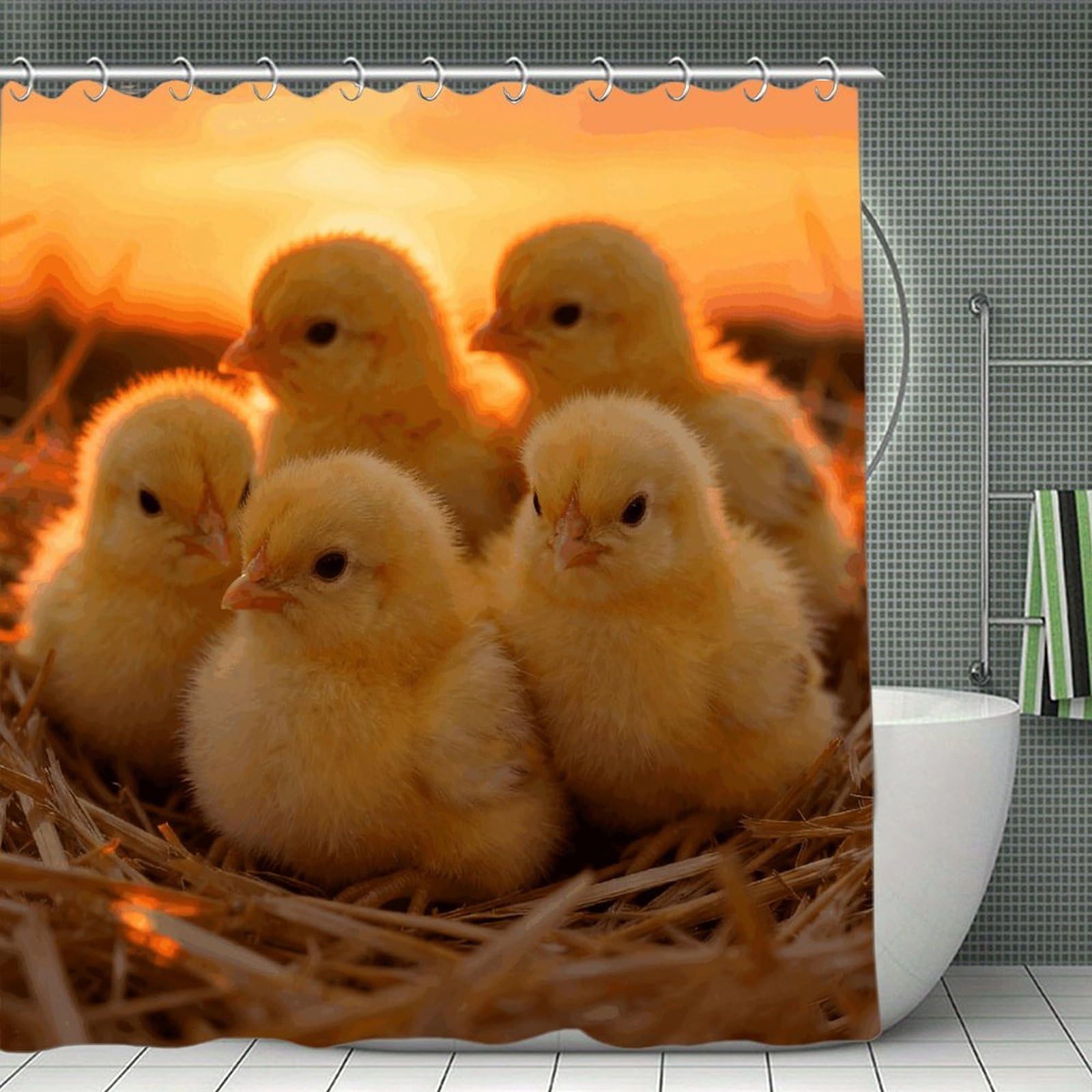 VstaDank A Brood of Chickens Shower Curtain Light-Weight Blackout Bathroom Curtain Washable Shower Liner 71x71 Inch Bath Curtain with Metal Holes Bathtub Bath Room