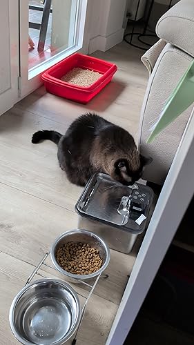 FEELNEEDY - Drinkfonteinen Voor Katten / Voer