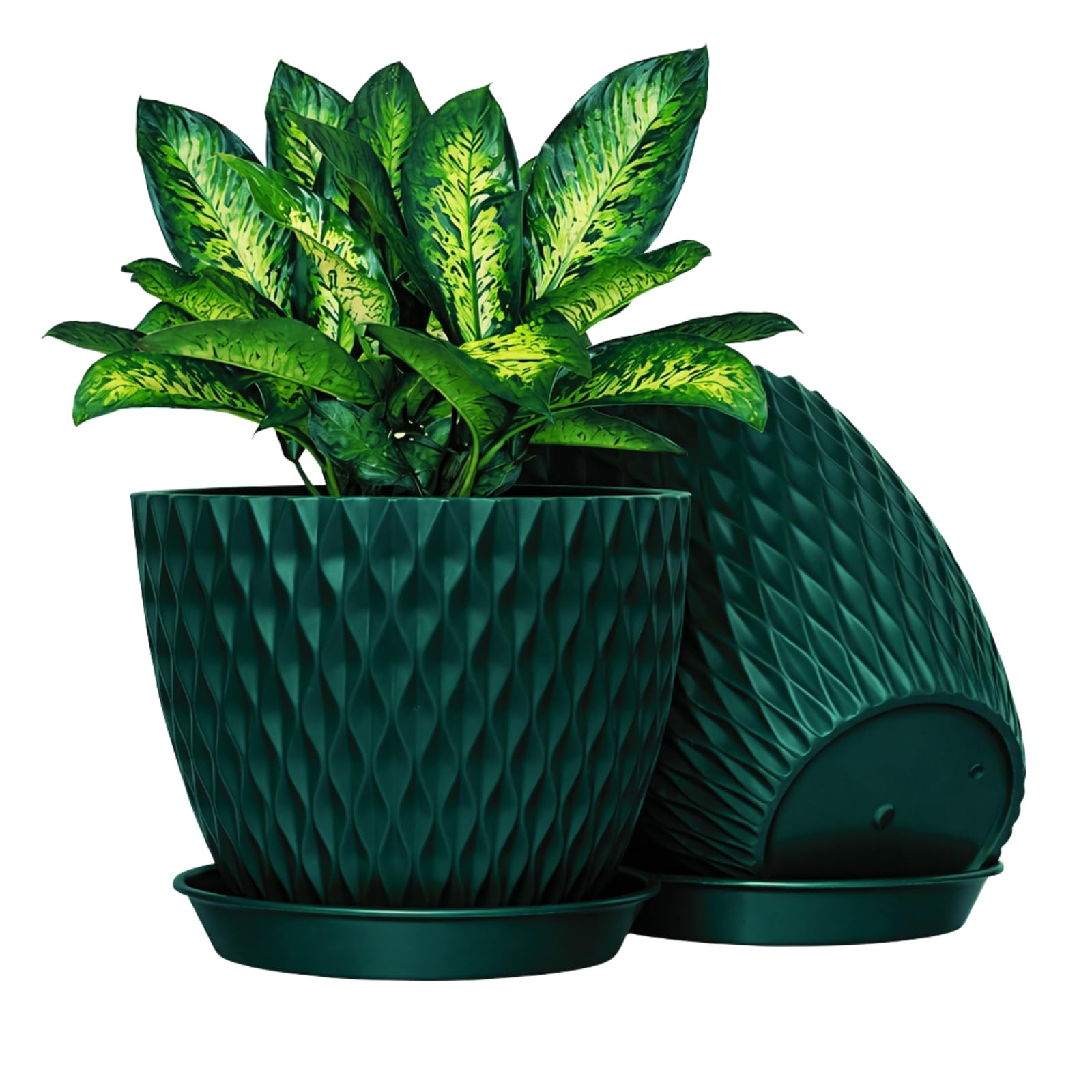 JRM Plastic Round Flower Pots 6.5 Inch with Drainage Holes & Tray Saucers | Indoor Outdoor Planters for Home, Balcony, Terrace, Garden & Office (Plant Not Include) (Teal Blue, Pack of 2)-image-36