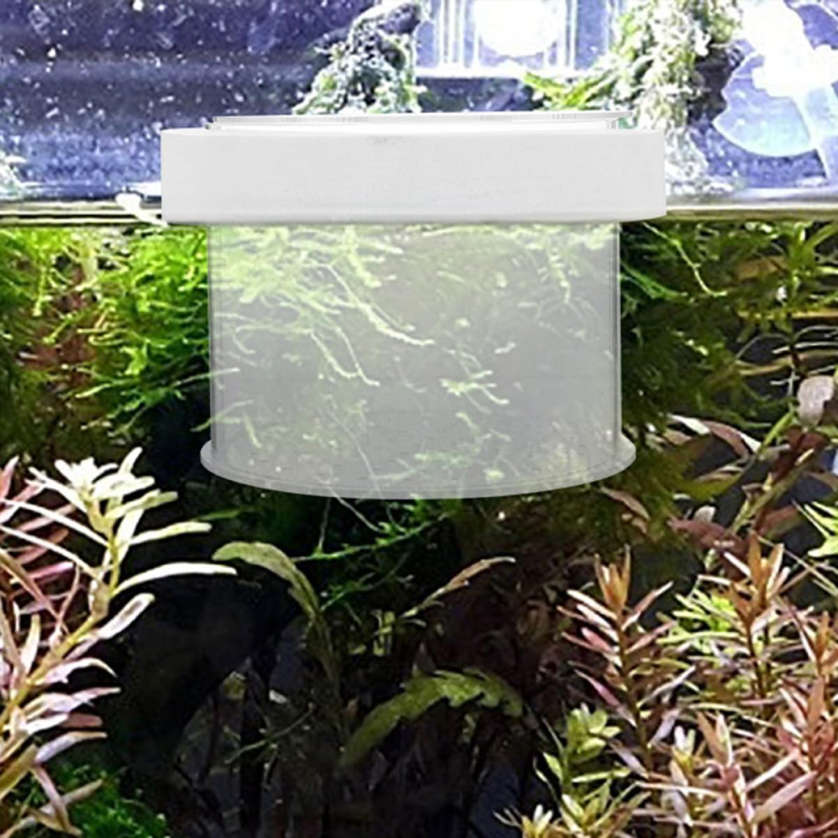 VANZACK Acrylic Fish Breeding -Sized Isolation Tank for Fry Acrylic Separator for Aquarium Fish Breeder Improved Survival Rate
