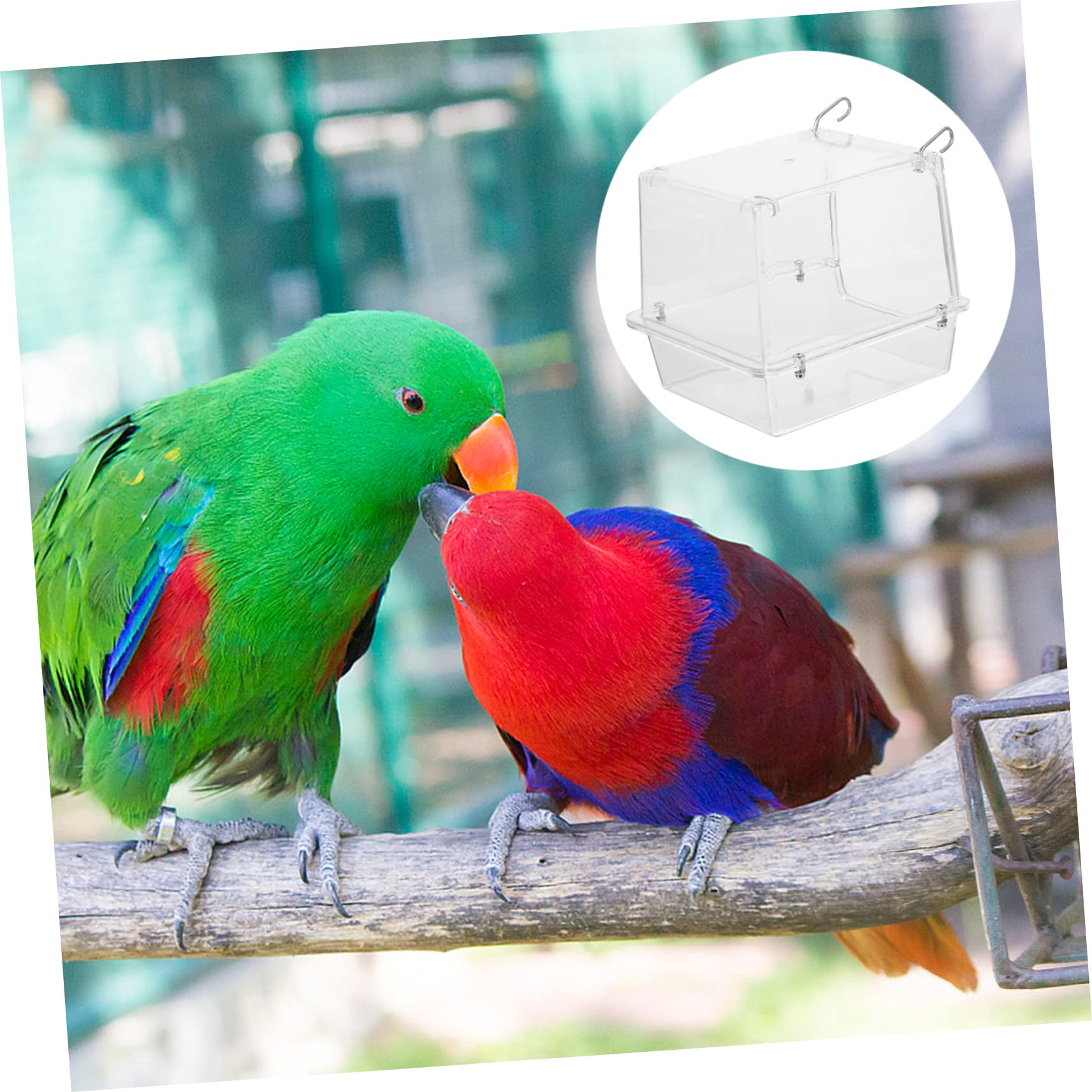 Baignoire Suspendue pour Oiseaux, Cube de Bain pour Cage en Acrylique