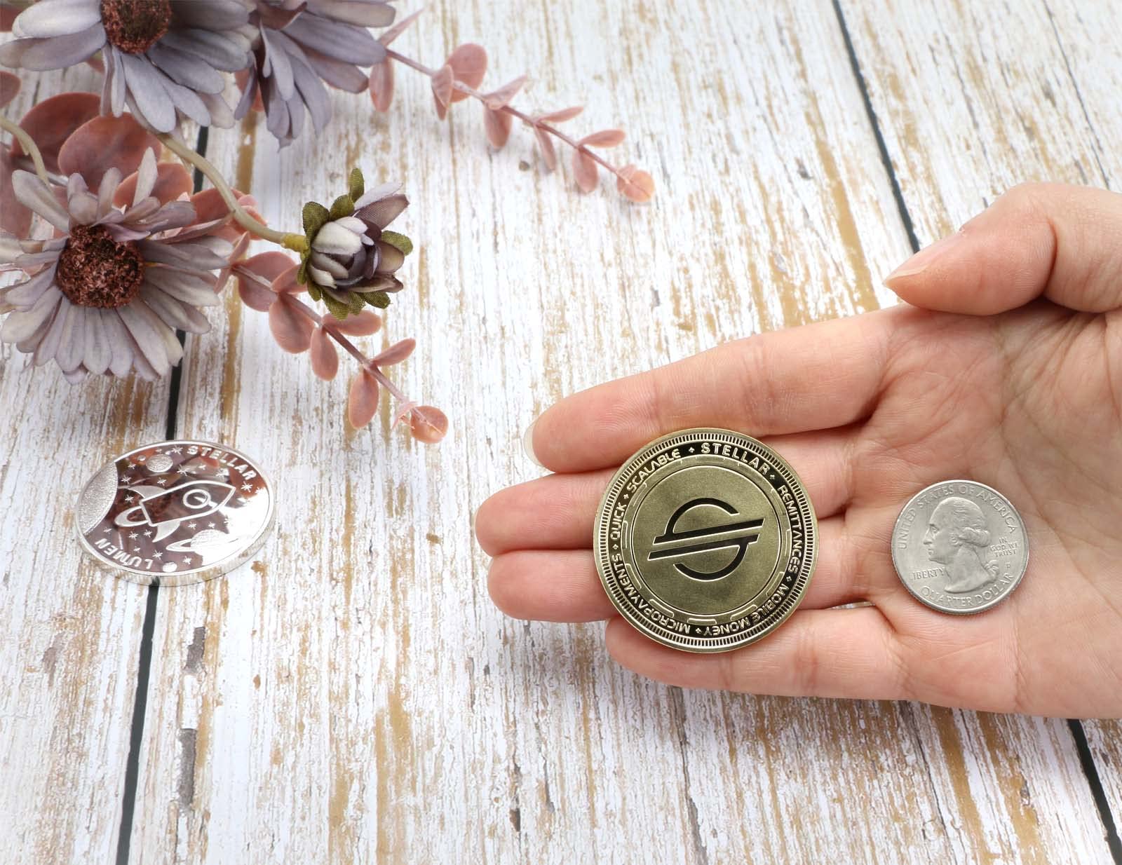 Amazon.com: PANDAPOLIS Gold Polkadot Coin Set Crypto Coins Commemorative  Golden DOT Coin Collector Gifts (Buy One Get One Silver Potkadot Coin) :  Office Products