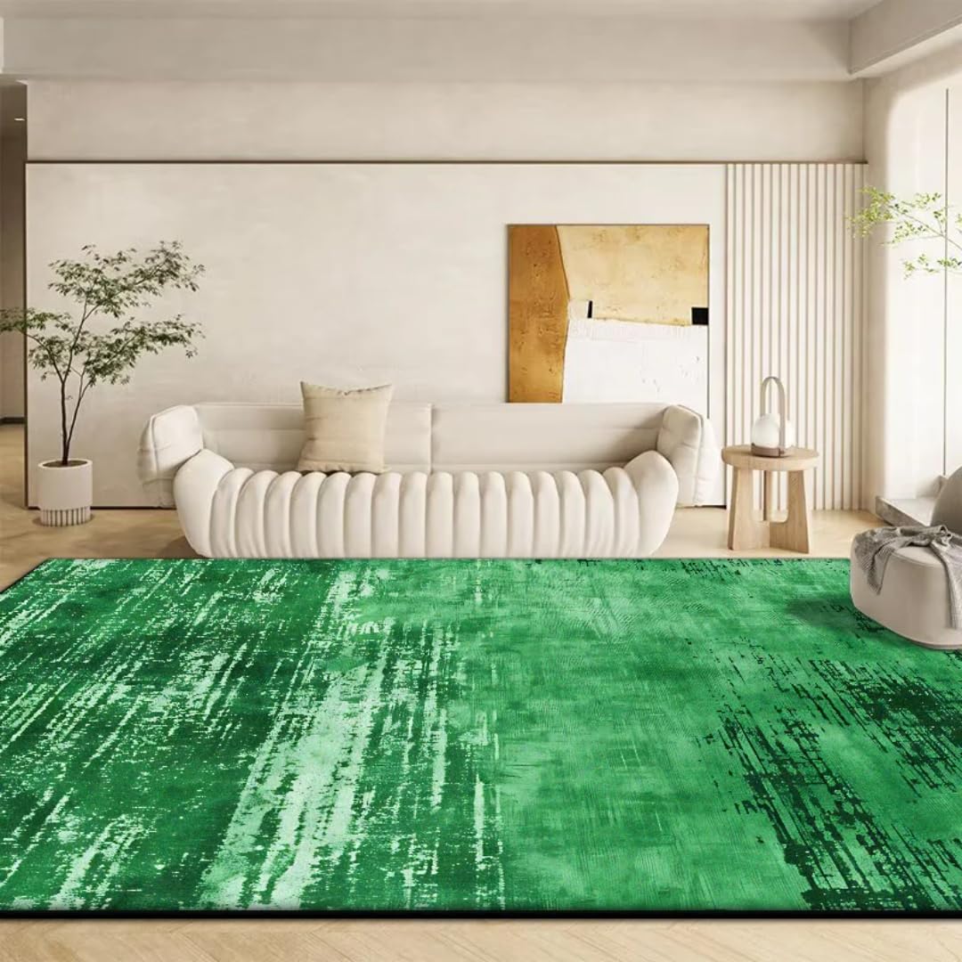 Tapis de salon moderne grand format chambre tapis luxueux lavable CX048