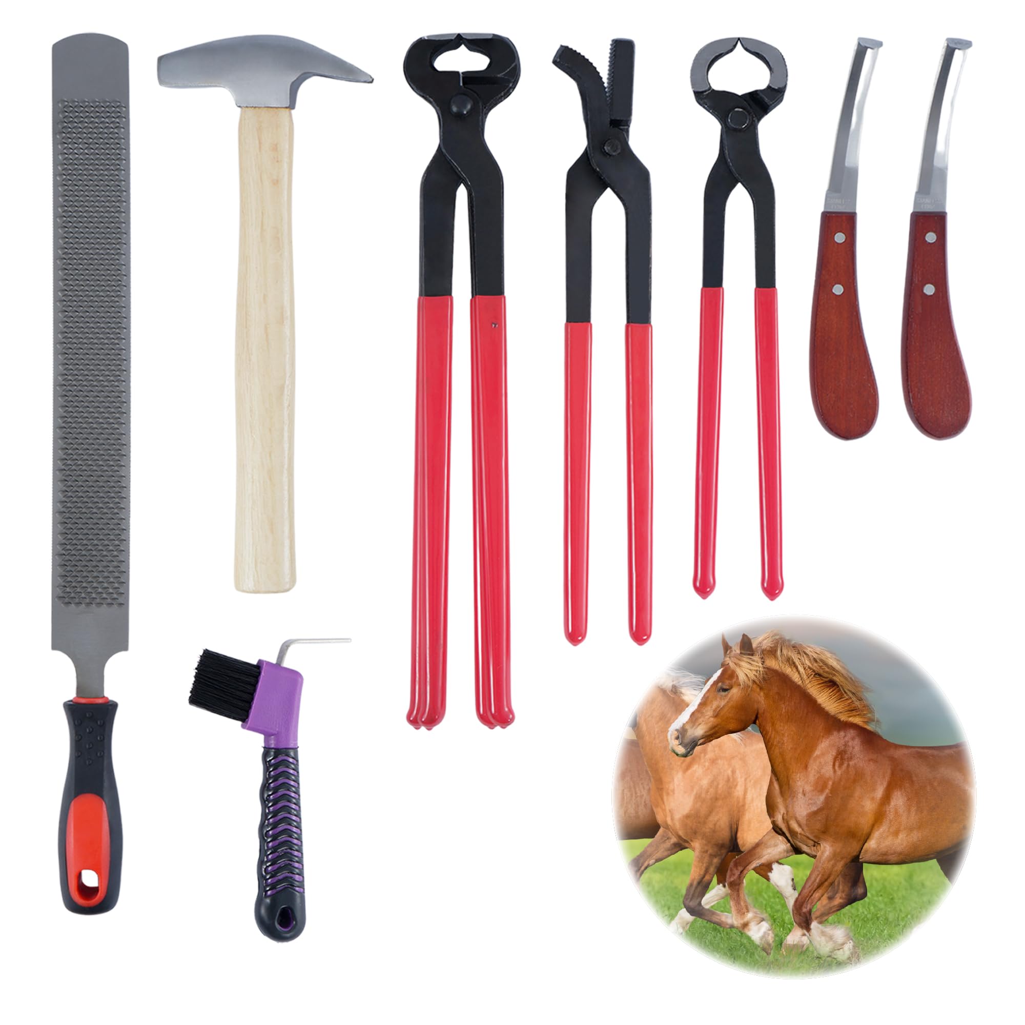 lukar 8PCS Farrier Tools Kit Horse Hoof Trimmers, Includes Horse Hoof Nipper, Horseshoe Cutting Pliers, Hoof Nail Clincher, Hoof Hammer, Hoof Knife, Rasp File, Horseshoe Brush