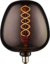 National Lighting Onyx Smoked Filament Bulb - E27 LED 4W Warm White Light Bulb – IP20 Rated, Glass Grey Decorative Lighting Accessory for Indoor Use – Non-Dimmable LED Light Glass & Steel Construction