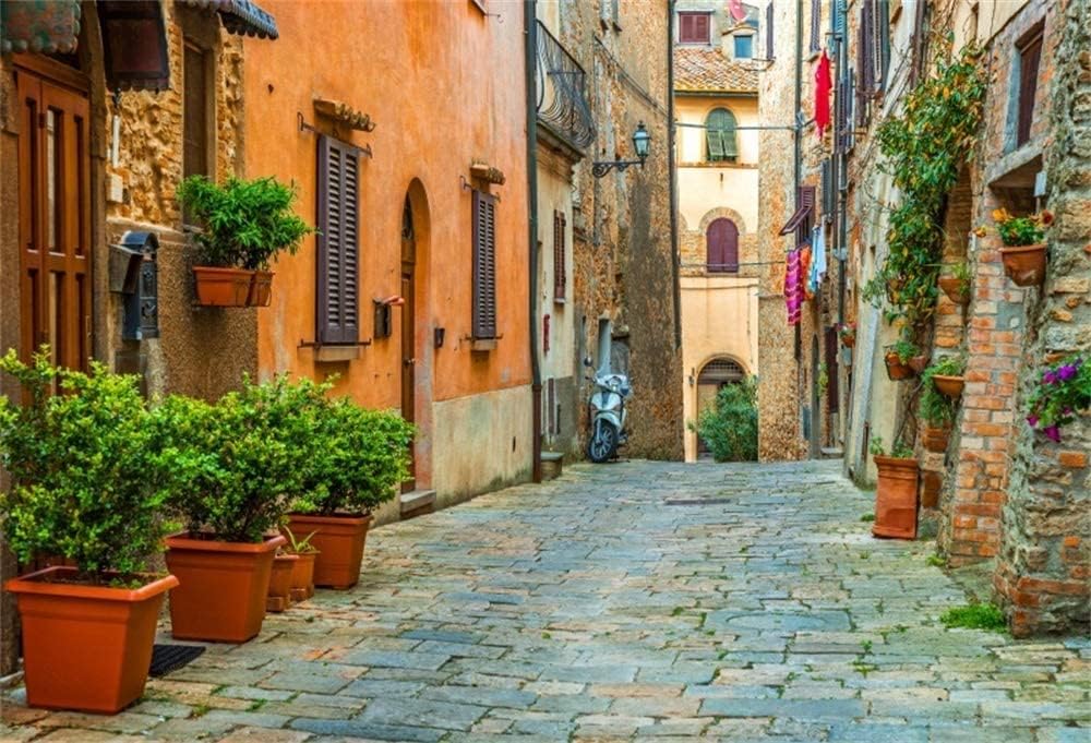 Renaiss3 x 2.5 m Italy Alley Backdrop European Building Scene Photography Background Old Town Narrow Alley Travel Holiday Backdrop Children Adults Portrait Shooting Vinyl Studio Props