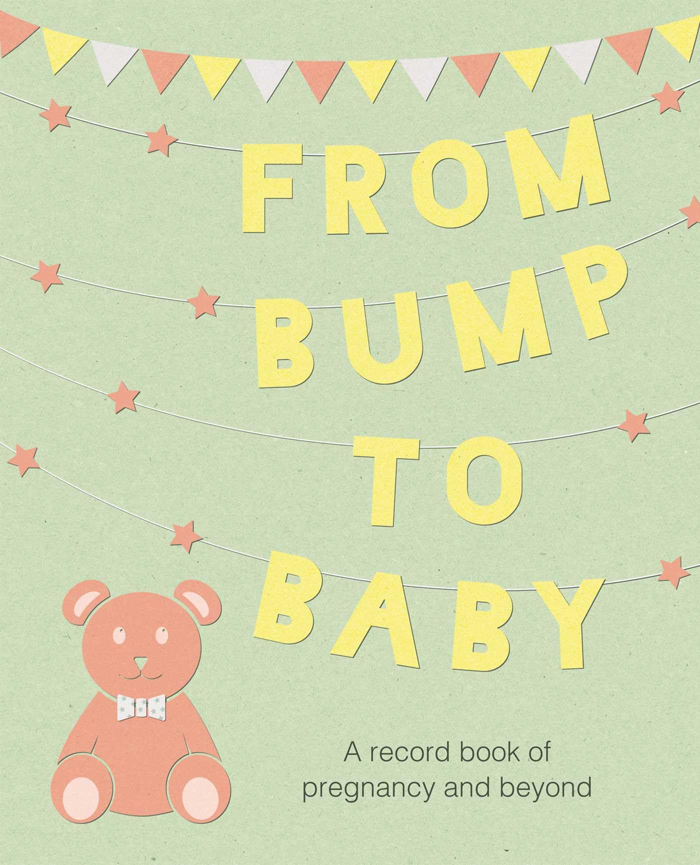 CICO BooksFrom Bump to Baby: A record book of pregnancy and beyond
