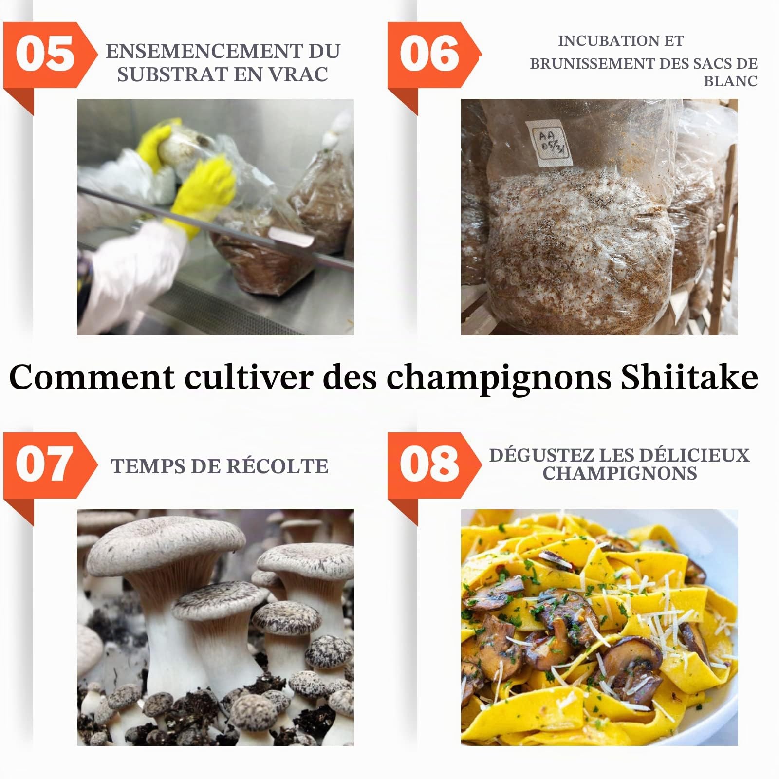 Couvercle pour culture de champignons ZHANXUBIO à large ouverture, équipé d'un filtre à membrane en PTFE et d'orifices d'injection auto-obturants (lot de 6, vert, bocal non inclus)