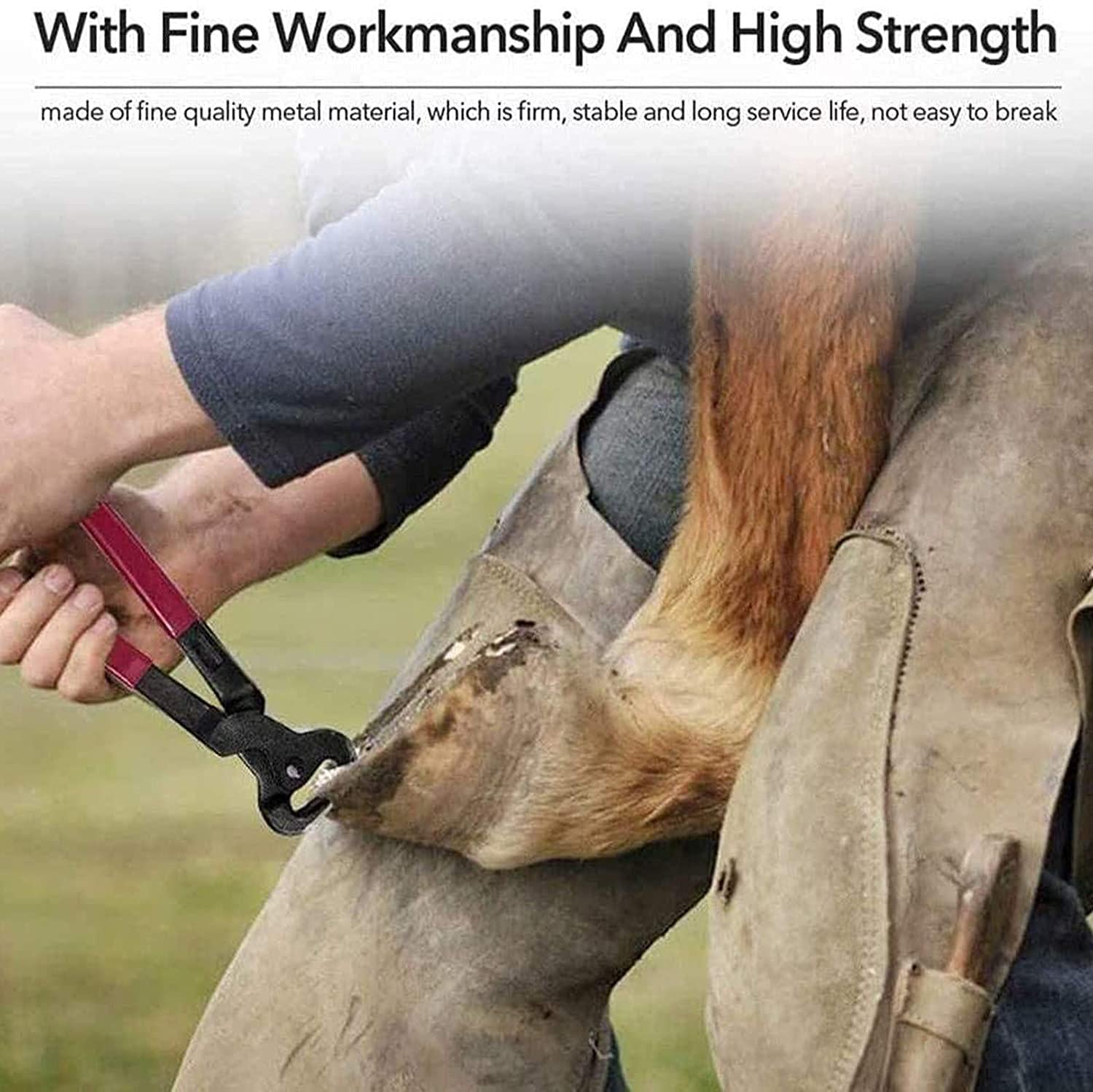 BAtlam Horse Hoof Farriers Nipper, Horse Equine Metal Tijeras Farriers Farriers Cutters Herramientas Profesionales para Recortar Cascos de Caballos para Reparar Cascos de Animales