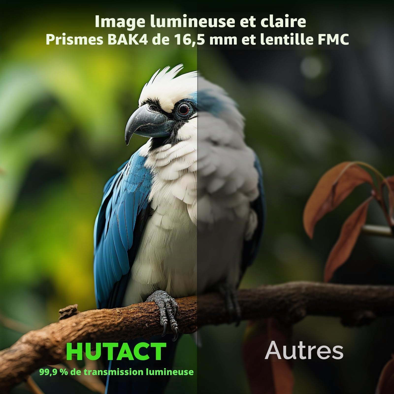 Jumelles Adultes puissante 10 x 42 avec BAK4 Prism, FMC lentille, Grande oculaire, Compact,Idéales pour Les Voyages en Plein air, pour Observer Les Animaux et pour Regarder Un Concert