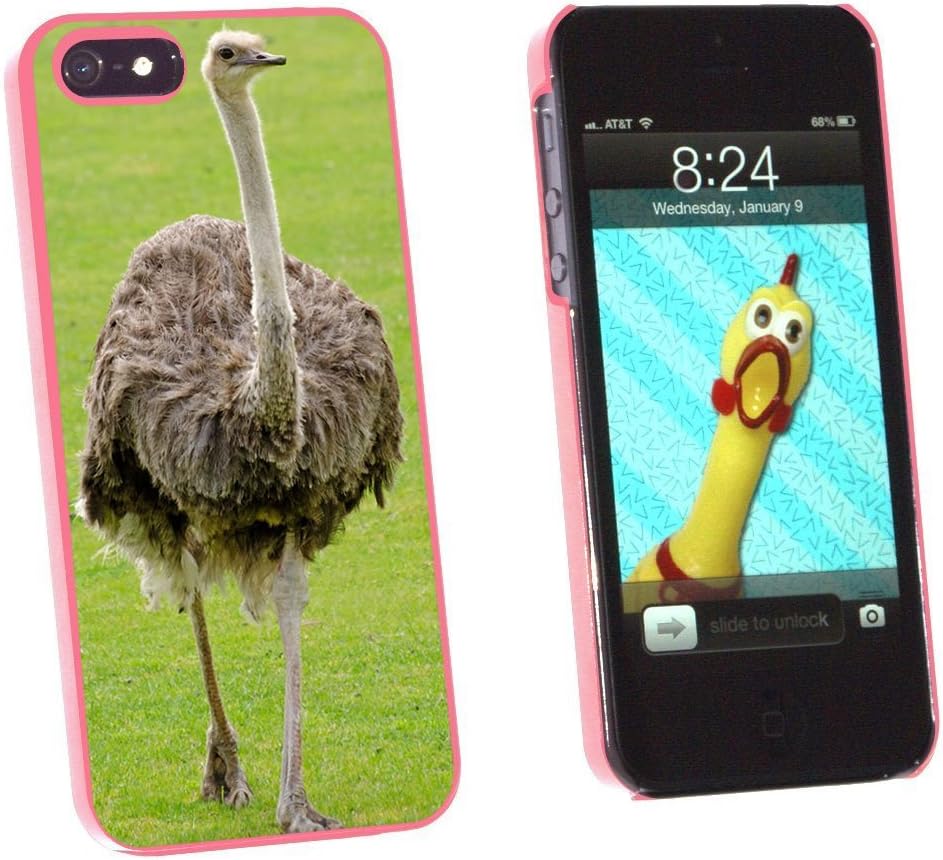 Graphics and More Emu Ostrich Bird Snap-On Hard Protective Case for Apple iPhone 5/5s - Non-Retail Packaging - Pink