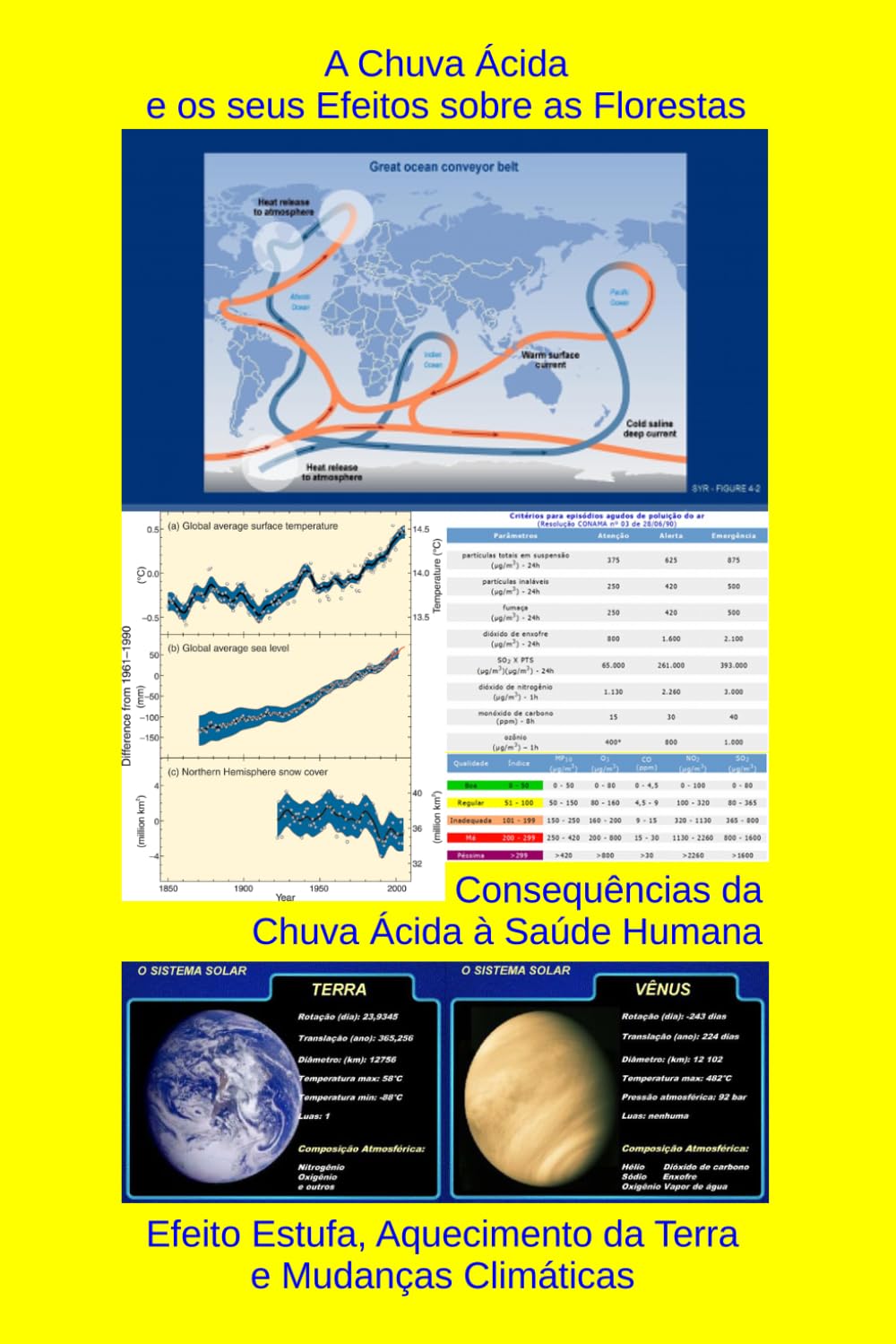 A Chuva Ácida e os seus Efeitos sobre as Florestas: Consequências da Chuva Ácida à Saúde Humana - Efeito Estufa, Aquecimento da Terra e Mudanças Climáticas