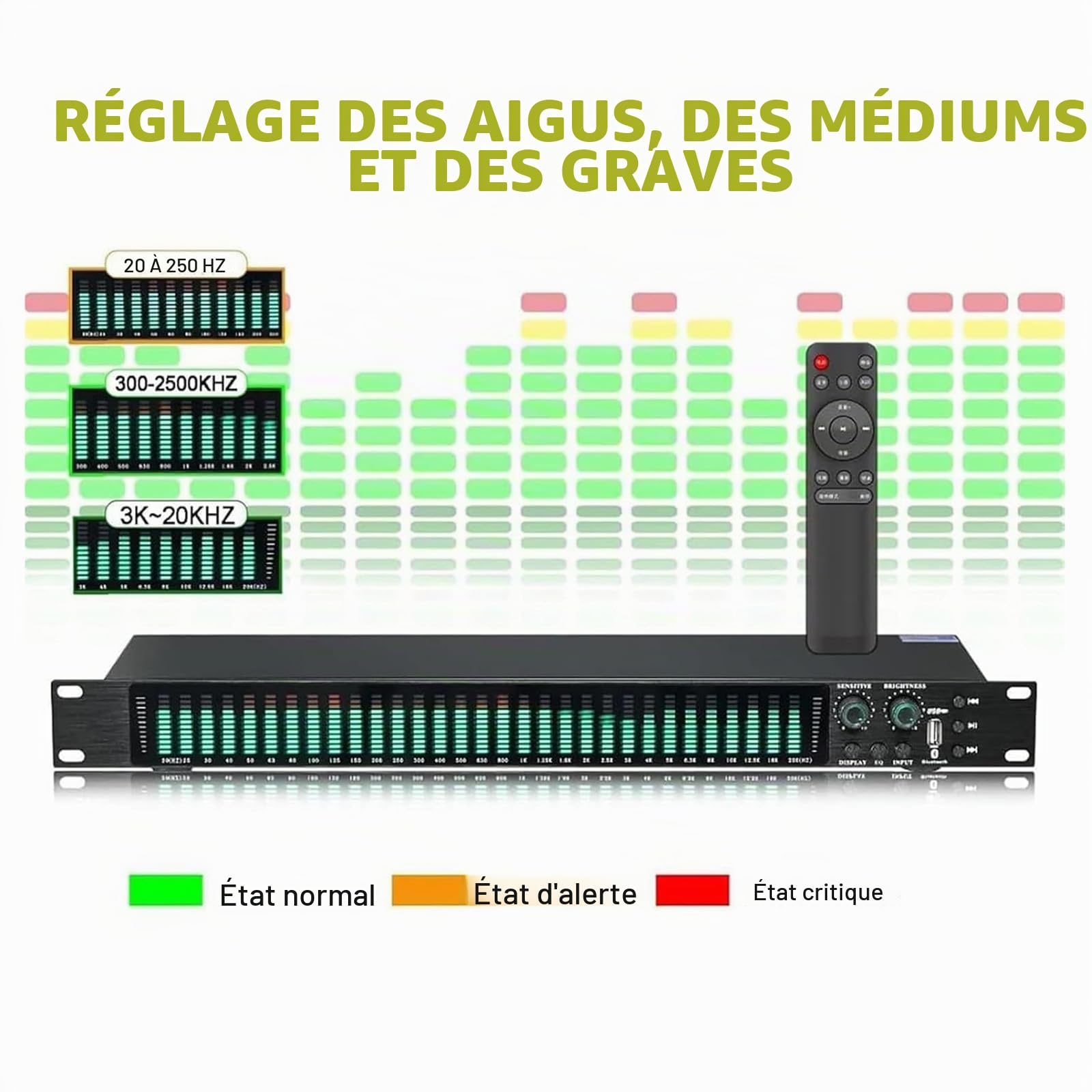 Égaliseur Numérique 31 Bandes, Égaliseur Audio Graphique Stéréo, avec 21 Effets Préréglés, Réglage des Graves/médiums/aigus, Réduction Automatique du Bruit, Montage en Rack 1U
