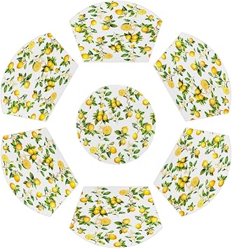 Lemon Wedge Placemats Set of 6 Heat Resistant 6 Wedge Place Mat