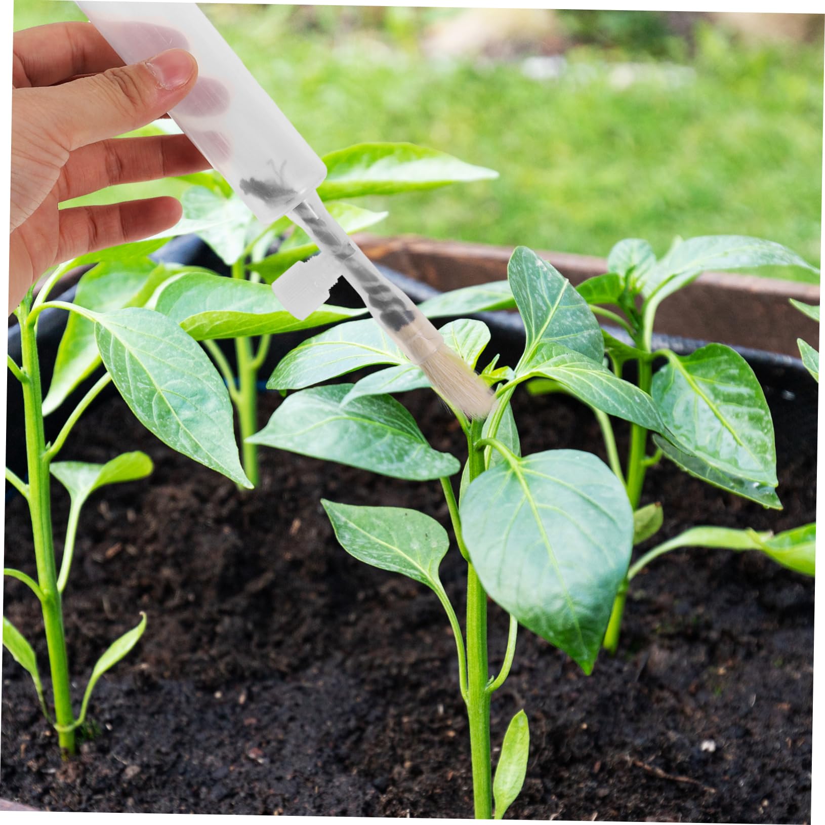 Toddmomy Lot De 10 Brosses De Pollinisation Et Outils De