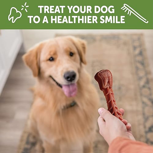 Miniatura 7 de WHIMZEES by Wellness Value Box - Masticables dentales naturales para perros, golosinas de larga duración, sin granos, refresca el aliento, raza