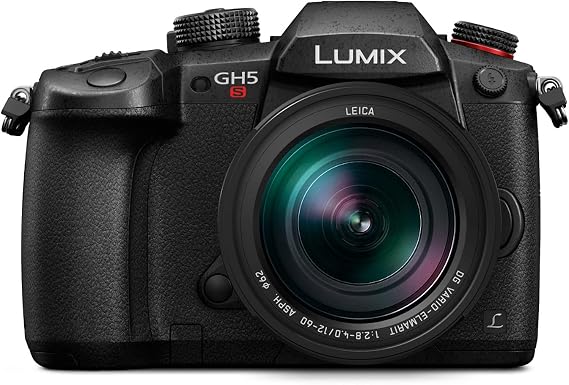 Panasonic LUMIX Professional 12-60mm Camera Lens, Leica DG Vario-ELMARIT, F2.8-4.0 ASPH, Dual I.S. 2.0 with Power O.I.S, Mirrorless Micro Four Thirds, H-ES12060 (Black)